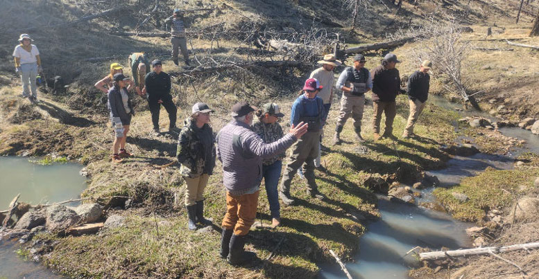 Images of students and teachers at a stream restoration