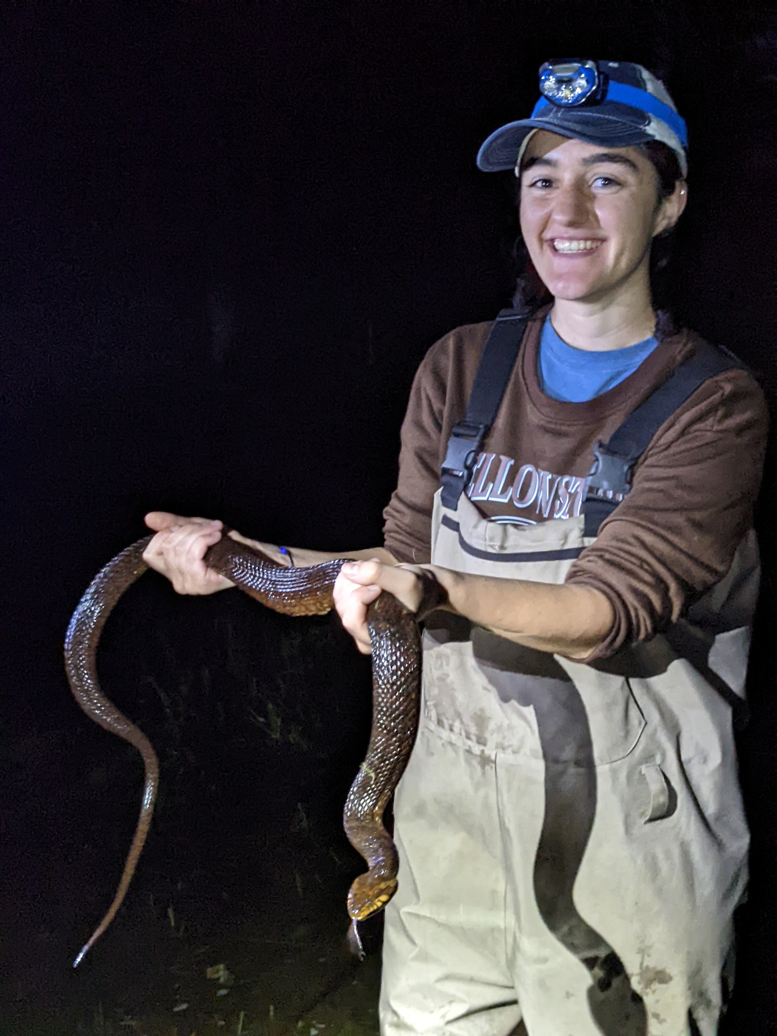 Image of Sara-Ashley Collins 