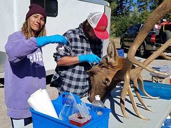 Wildlife society students